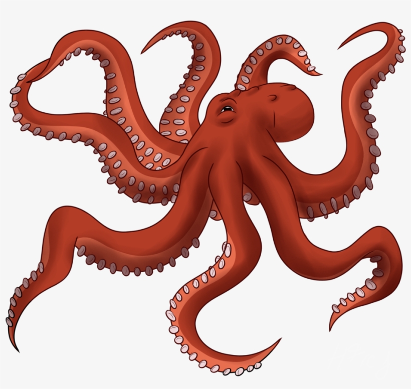 Octopus Png, transparent png #173521