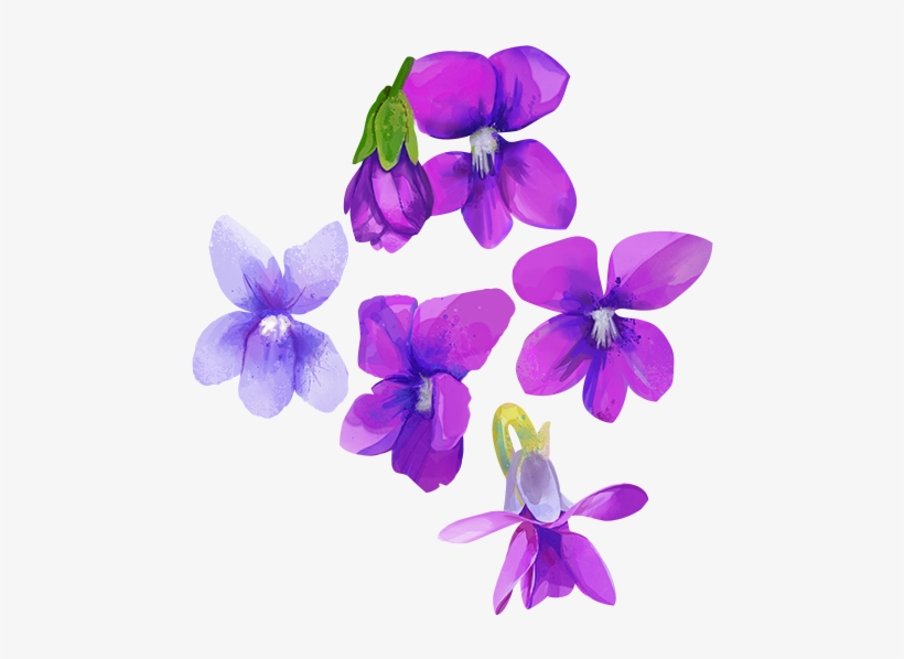Go To Image - Watercolor Purple Flower Transparent, transparent png #173954