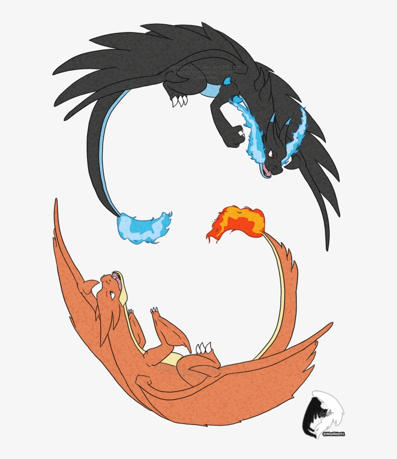 Mega Charizard X And Y By Windrider01 On Deviantart - Charizard, transparent png #173955