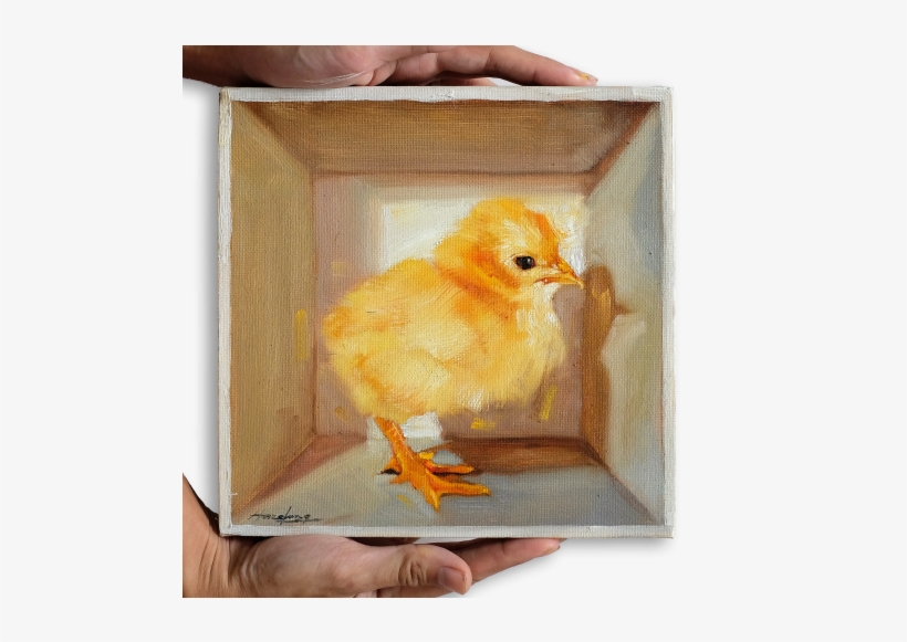 Chick In A Box Ii - Chicken, transparent png #174046