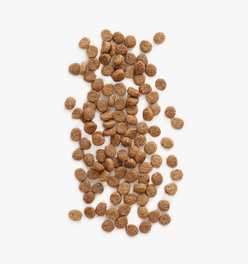 Feline Vantage™ Is 100% Guaranteed For Taste And Nutrition - Cat Food Png, transparent png #174069