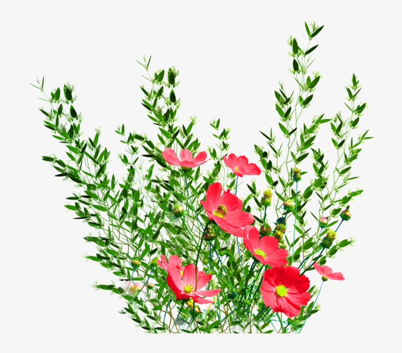 Garden Png Background Image - Flowers Garden Png, transparent png #174171