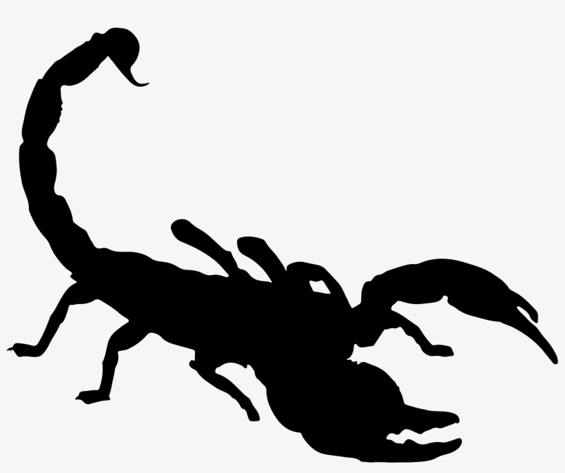 Scorpion Png Photo - Scorpion Clipart, transparent png #174198