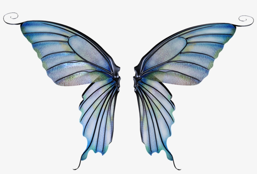 Fairy Wing Png - Fairy Wings Transparent Background, transparent png #174293