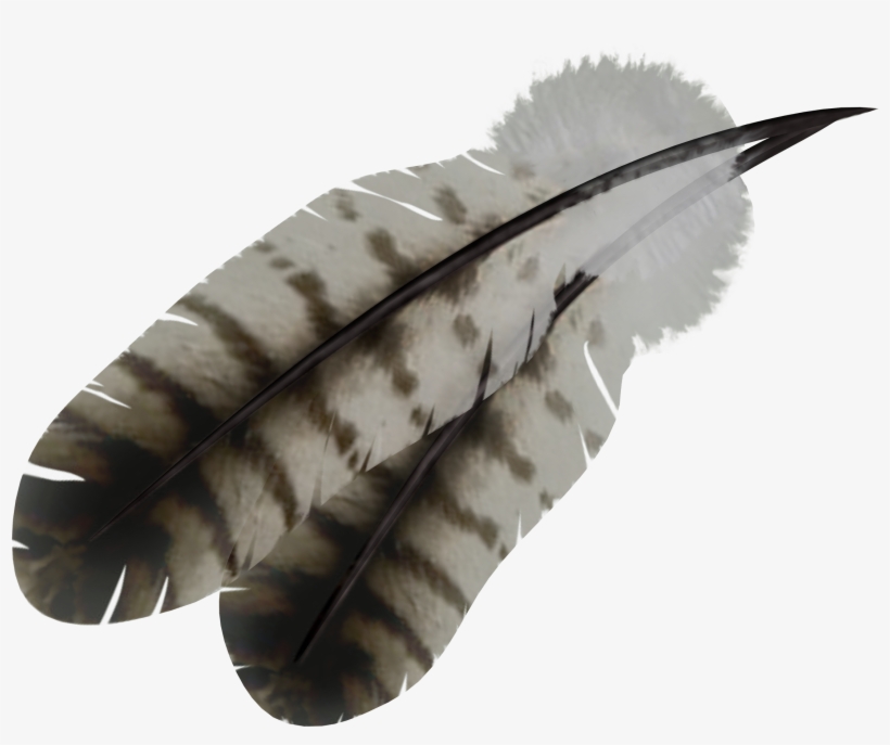 Feather Png - Native Feather Transparent Background, transparent png #174557