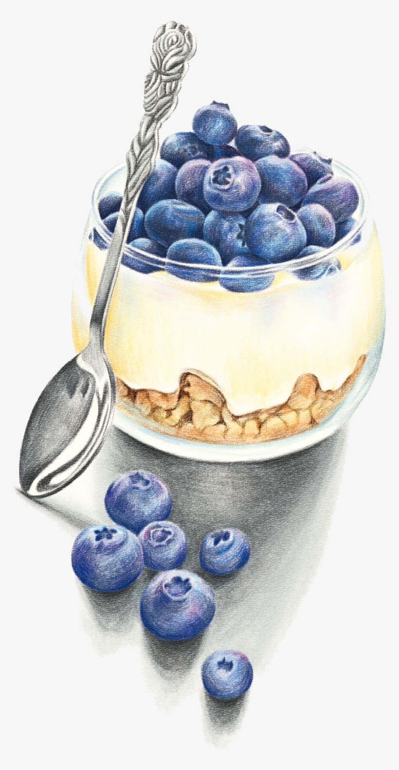 Berry Vector Watercolor - Watercolor Painting, transparent png #174738