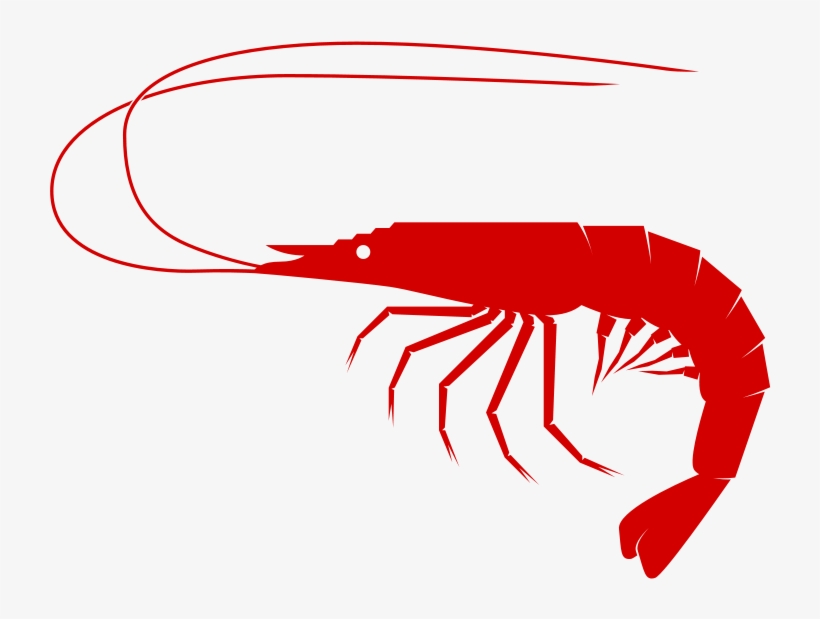 Transparent Library Medium Image Png - Seafood Clip Arts, transparent png #175832