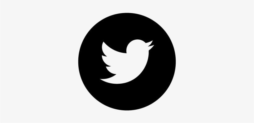 New Google Plus Icon Vector - Twitter Logo Vector Circle, transparent png #176104