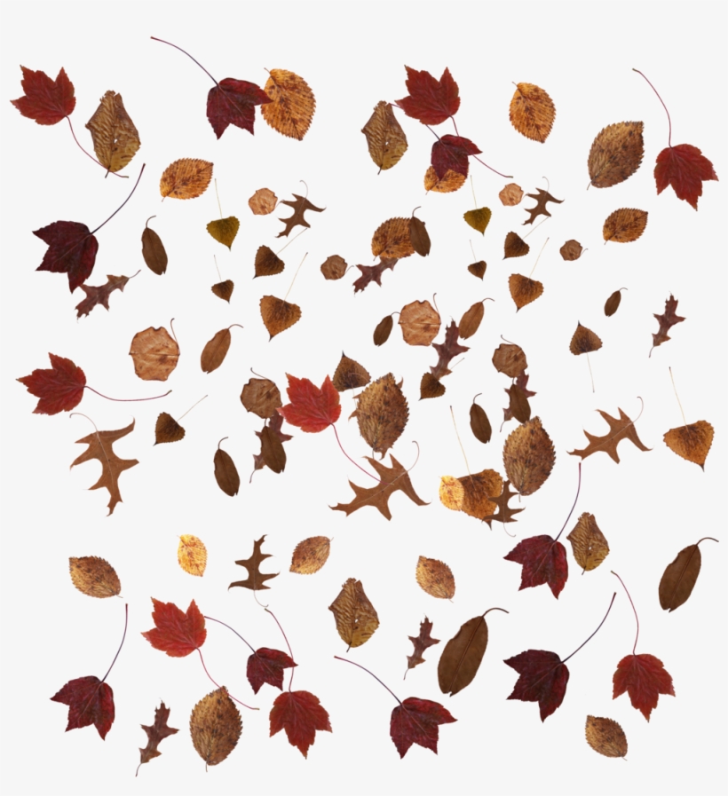 Then Right Click And Save To Your Hard Drive, transparent png #176433