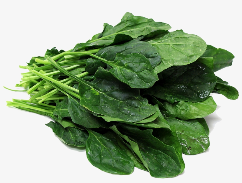Free Download Free Png File Peoplepng Com - Spinach Png, transparent png #176580