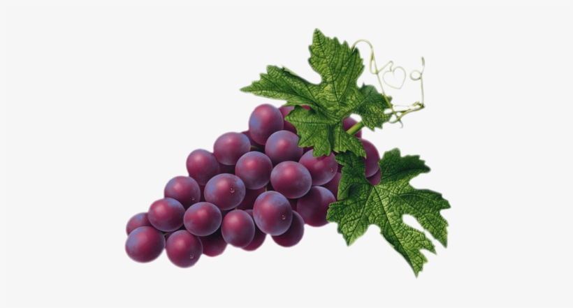 Red Grape Png Picture - Red Grapes Clipart, transparent png #176921