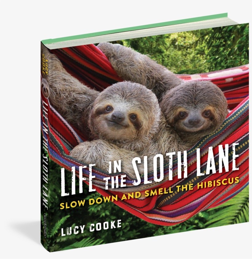 Life In The Sloth Lane - Life In The Sloth Lane: Slow Down, transparent png #177064