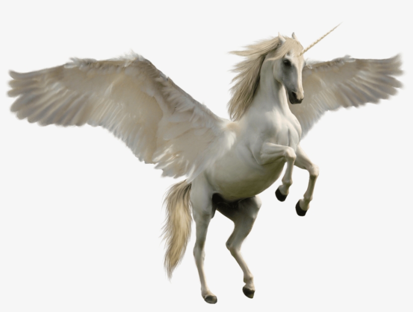 Fantasy - Unicorn Png, transparent png #177119