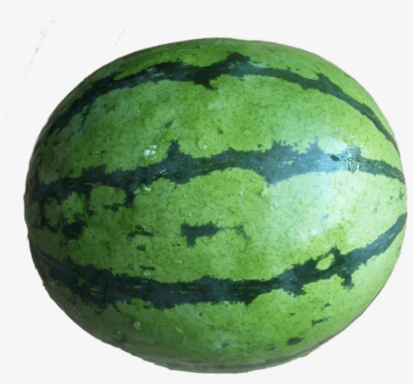 Free Png Water Lemon Full Png Images Transparent - Transparent Watermelon Full, transparent png #177440