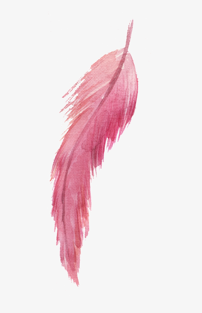 Red Feather Png Element - Portable Network Graphics - Free Transparent