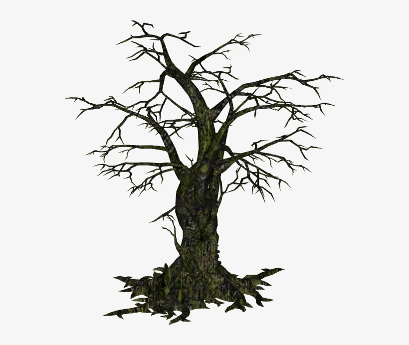 Image Creepy Tree Feral - Creepy Tree Png, transparent png #177527