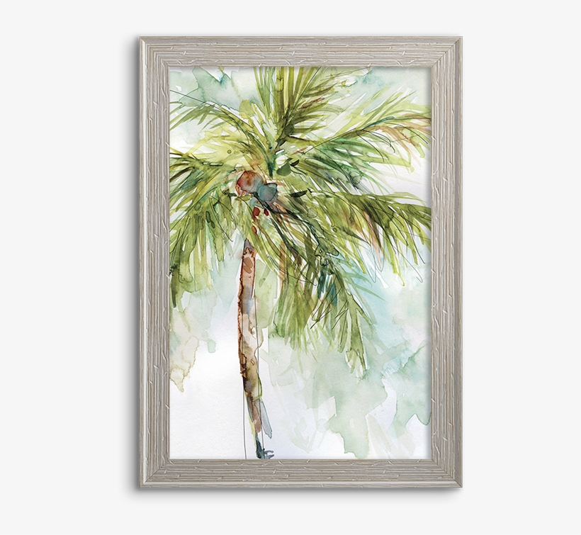 Coconut Palm - Palm Trees, transparent png #177880
