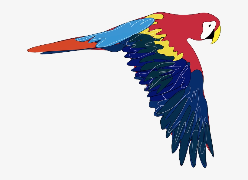 Original Png Clip Art File Parrot Svg Images Downloading, transparent png #178021
