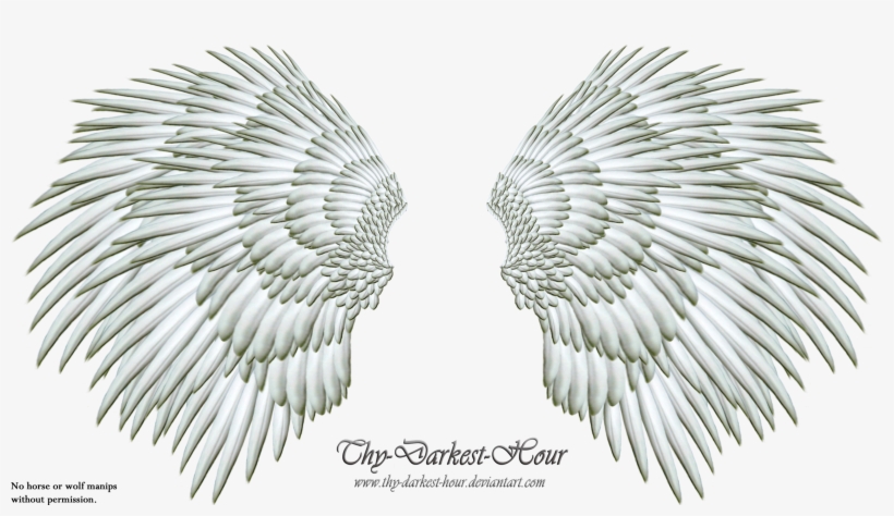 More Like Angel Wings Png 06 By Thy Darkest Hour - Angel, transparent png #178063