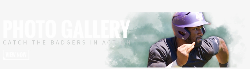 Photo Galleries - Photograph, transparent png #178242