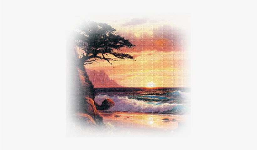 Loly33 Summer Beach - Coucher De Soleil Plage Fond Transparent, transparent png #178612