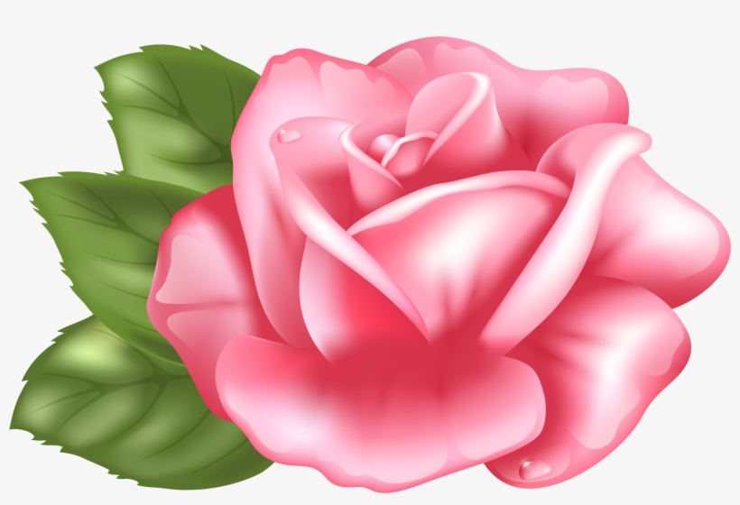 Pink Rose Transparent Png Clip Art Imageu200b Gallery, transparent png #178706