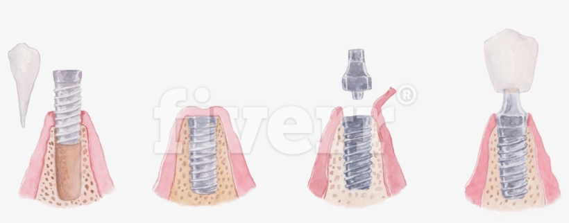 Accordion, transparent png #179532