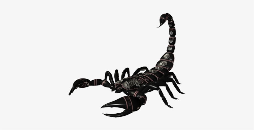 Scorpion Png, transparent png #179726