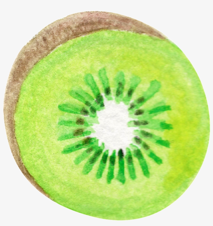 Hand-painted Watercolor Bizarre Fruit Cut Transparent - Kiwifruit, transparent png #179804