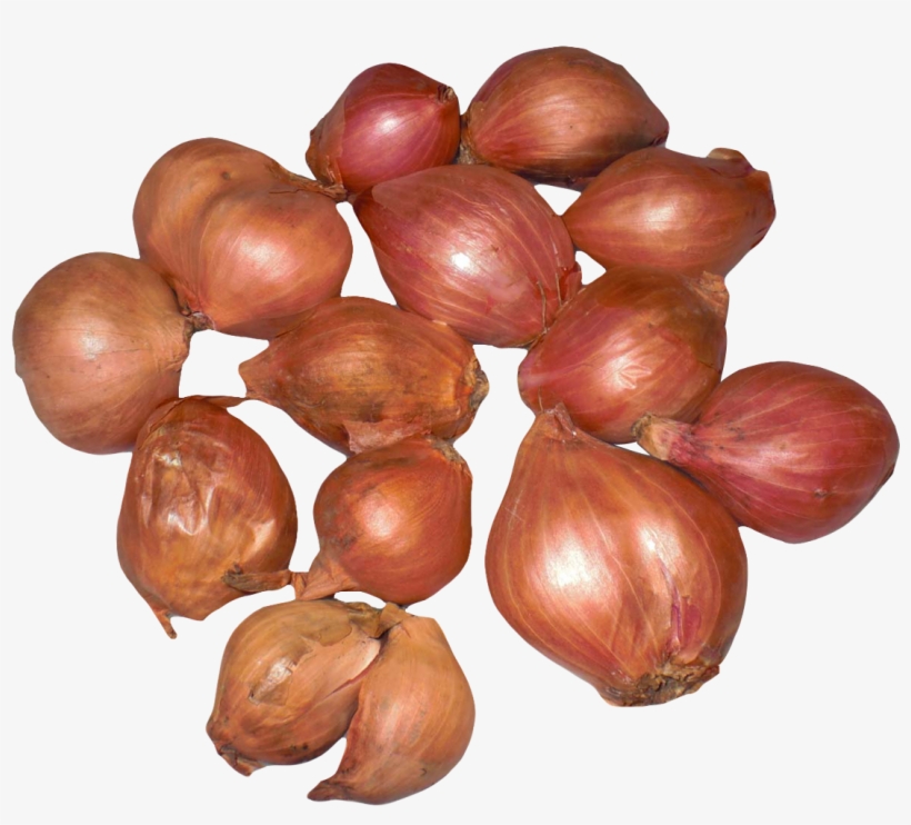 Onion Shallots Png Image - Onion, transparent png #179930
