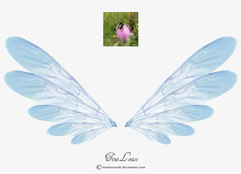 Graphic Black And White Stock Wing Transparent Fairy Pink Wings Dragon Nest M Free Transparent Png Download Pngkey - black wing roblox