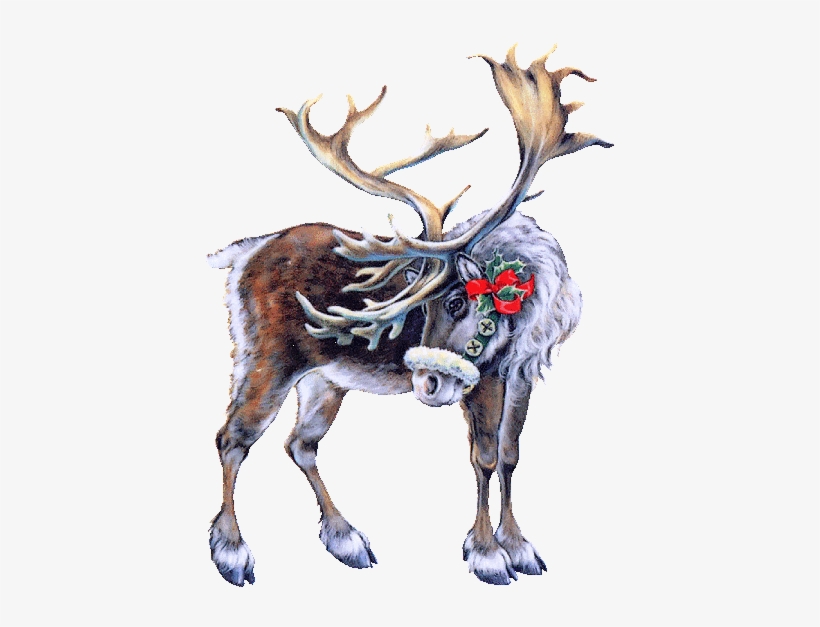 Santa Claus's Reindeer - Tubes Noel, transparent png #1700054