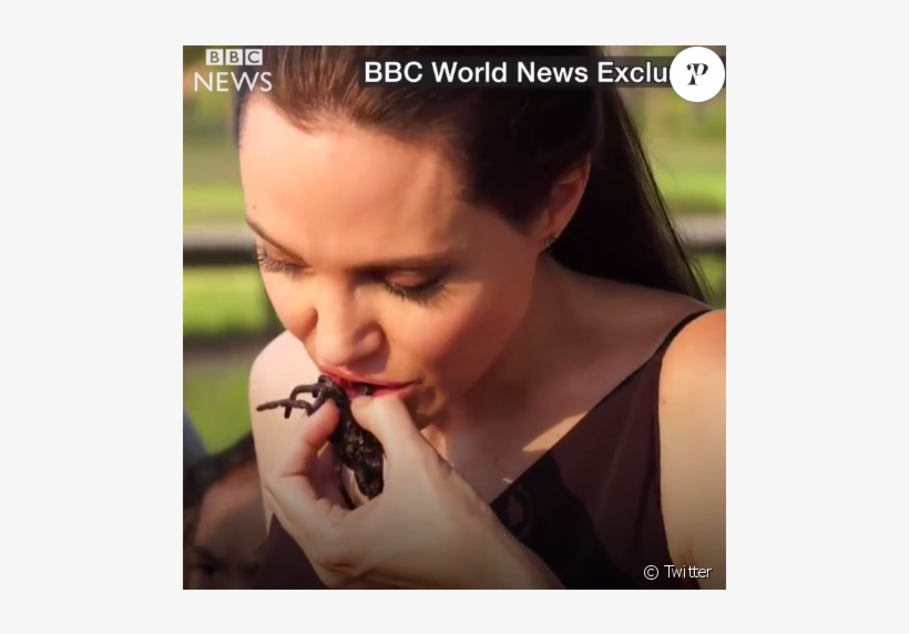 Angelina Jolie Cuisinant Des Insectes Au Cambodge Avec - Angelina Jolie Mangia Ragni, transparent png #1700124
