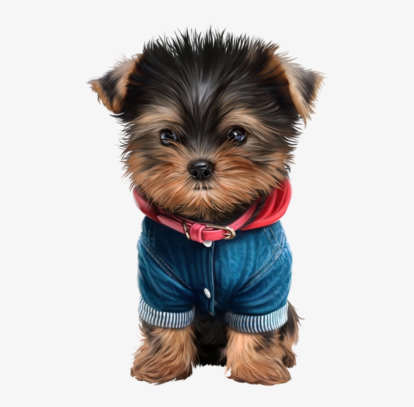 Wild Animals - Chiens Puppy Png, transparent png #1700677