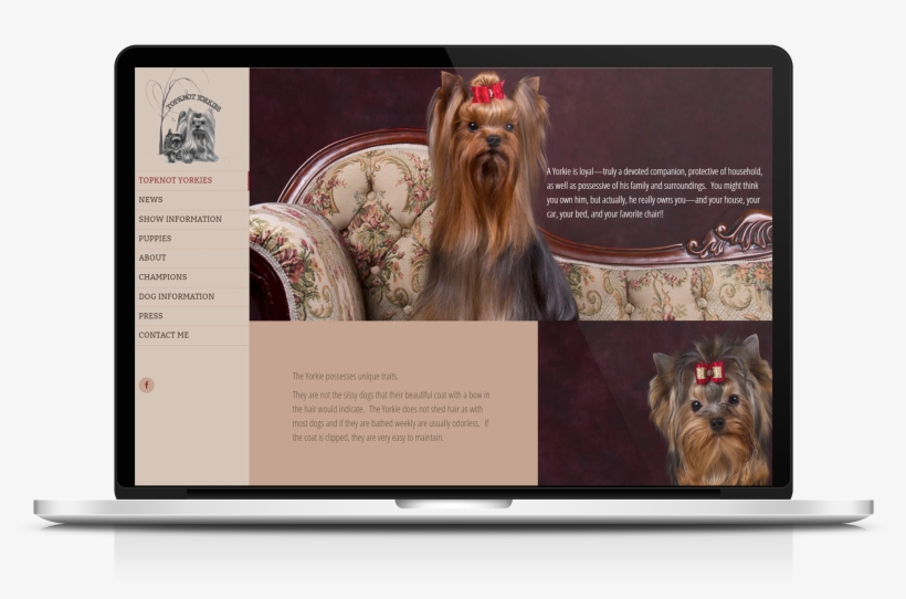 Website Design & Development For Topknot Yorkies - Web Design, transparent png #1700988