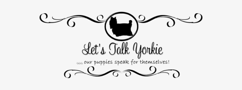 Lets Talk Yorkie Breeder Logo - Yorkshire Terrier Logo, transparent png #1701035