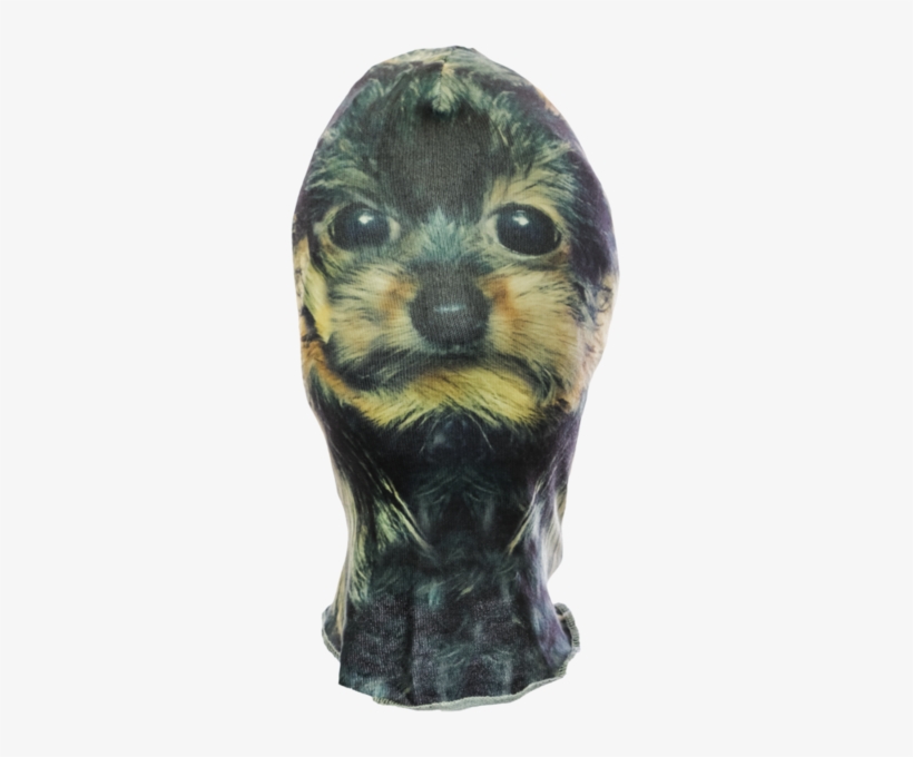 Yorkie Mask - Ferret, transparent png #1701385