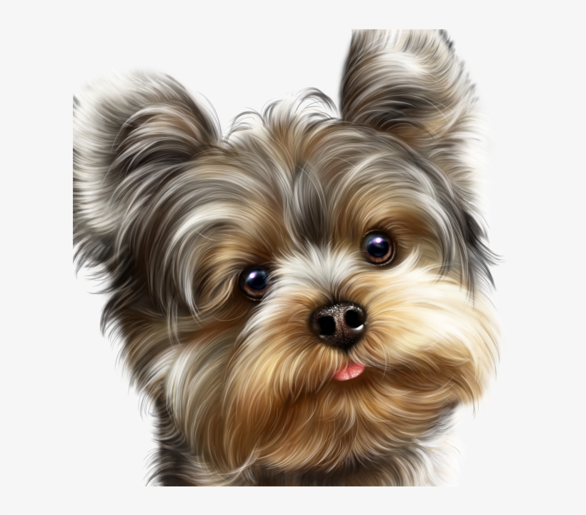 Fairy Yorkie And Butterflies 15 - Dog, transparent png #1701432