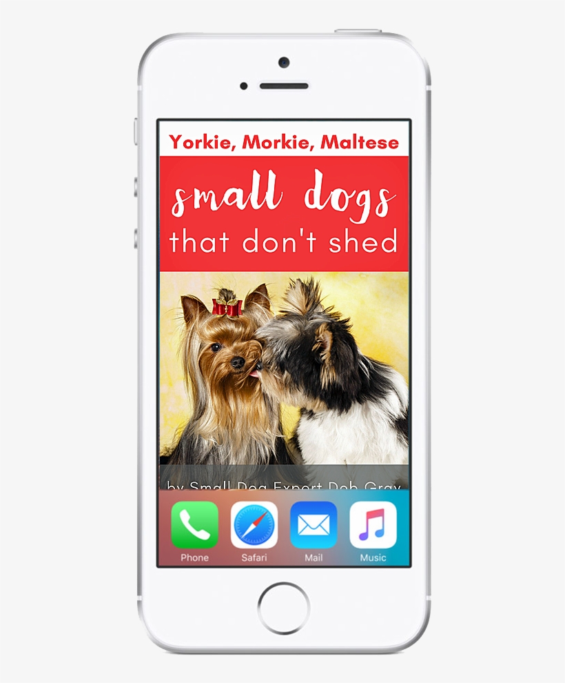 Yorkies, Morkies, Maltese - Biewer-york Round Ornament, transparent png #1701795