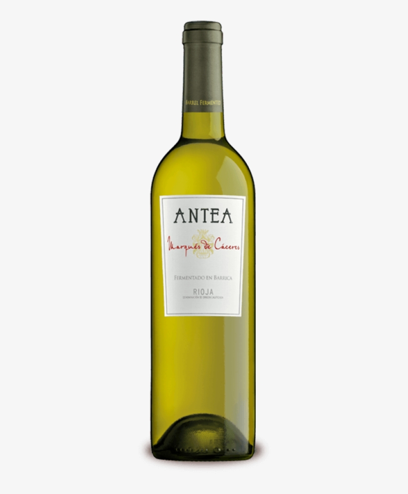 White & Rosé Wines - Antea Marques De Caceres, transparent png #1701898