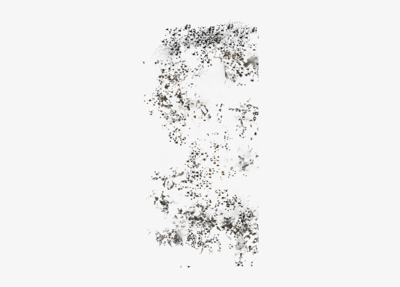 Swarm Of Flies - Monochrome, transparent png #1701902