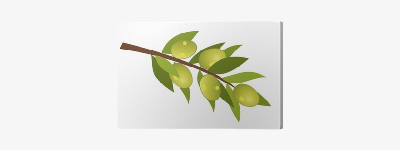 Vector Olive Branch With Olives Canvas Print • Pixers® - Zeytin Dalı Vektörel Png, transparent png #1701903