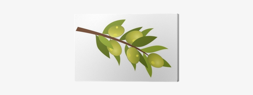 Vector Olive Branch With Olives Canvas Print • Pixers® - Zeytin Dalı Vektörel Png, transparent png #1701903