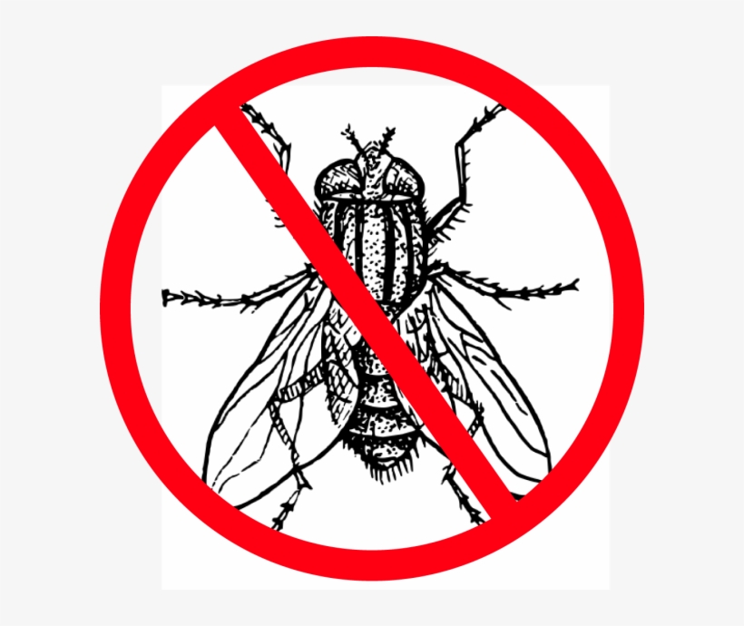 Faire Mouche - Housefly Black And White, transparent png #1702123