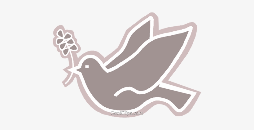 Dove With An Olive Branch In Its Mouth Royalty Free - Pomba Espirito Santo Vetor Png, transparent png #1702125