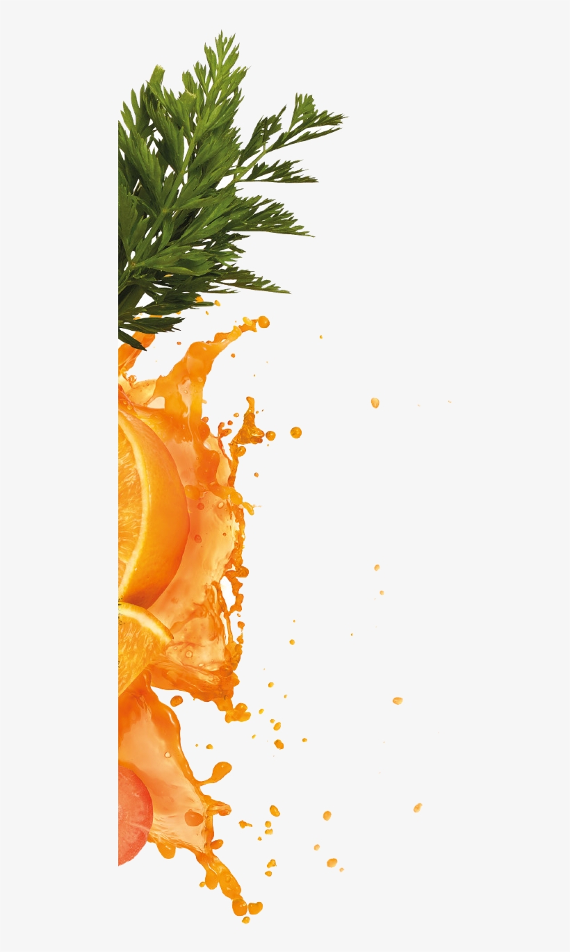 Orange & - Valencia Orange, transparent png #1702376
