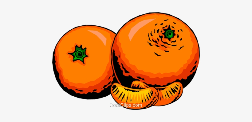 Two Oranges Royalty Free Vector Clip Art Illustration, transparent png #1702770