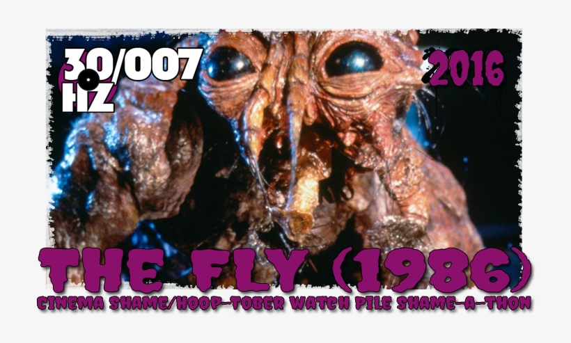 The Fly - Fly Movie, transparent png #1703092