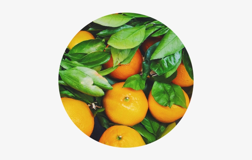 Oranges, transparent png #1703201