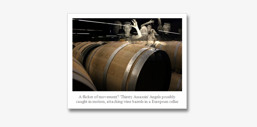 Weepeing Angels Barrels 2 - Wine, transparent png #1703205